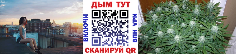 закладка  Нолинск  Каннабис гибрид 